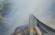 Forest Fire Devastates Jungles in Himachal, Smoke Clouds Pose Treat to Vehicles on National Highway