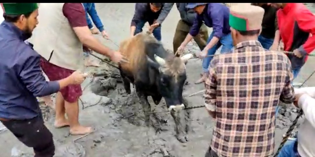 किन्नौर भायुमो के युवाओं ने दिया मानवीयता का परिचय