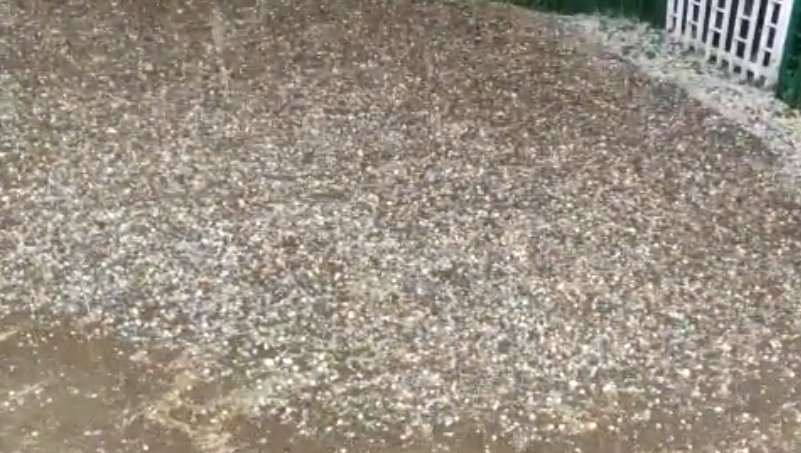 Torrential Rain and Hail pounded Shimla today