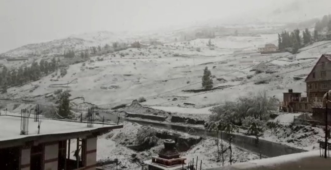 Himachal Snow