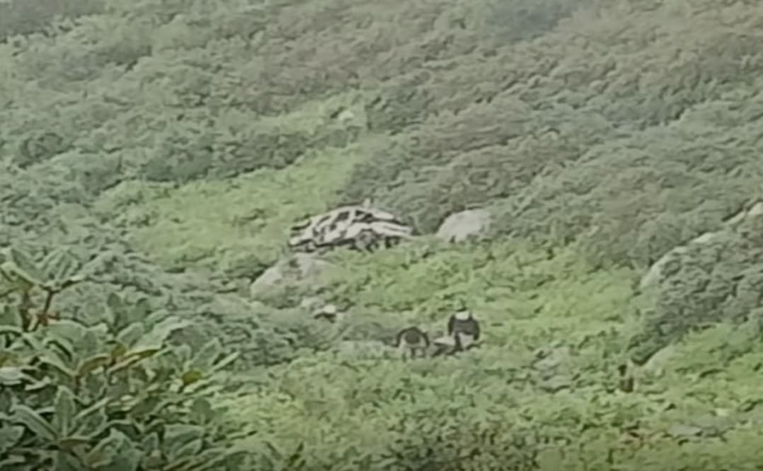 Himachal Accident: 4 Killed in Chamba Vehicle Crash
