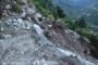 Lumpy Skin Disease spreads rapidly in Himachal, Govt Waits to turn it into an animal tragedy