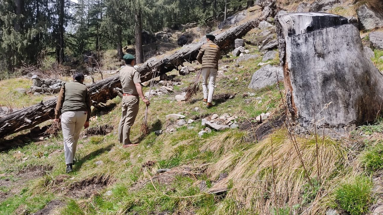 वन विभाग ने पंद्रह बिश के सरपारा में वन भूमि पर कब्जा करने वालो पर कसा शिकंजा, उखाड़े चार सौ से पौधे