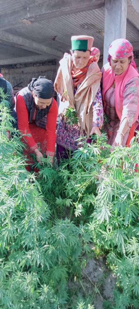 किन्नौर जिला में नशा-निवारण जागरूकता कार्यक्रम के तहत  विभिन्न गतिविधियां