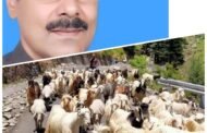 भेड़ पालकों के लिए पाॅलिसी बनाई जाए : त्रिलोक सूर्यवंशी
