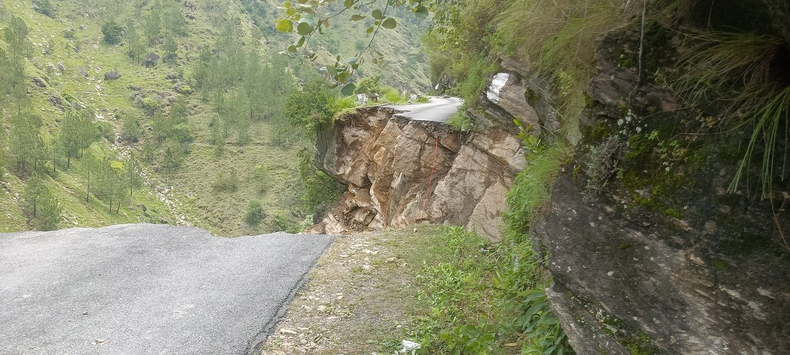 कार खाई में गिरी तीन की मौत