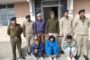 पांगी किलाड तांदी मार्ग पर  टाटा सफारी दुर्घटना, तीन लोगों की मौत
