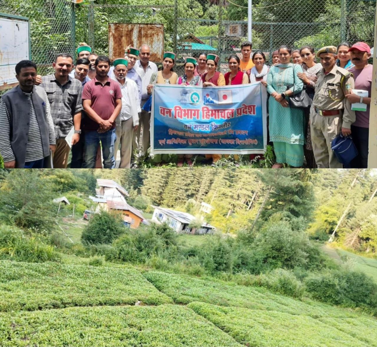 किन्नौर में कडू की खेती पर होगा काम जल्द बनेगा 50 किसानों का एक ग्रुप