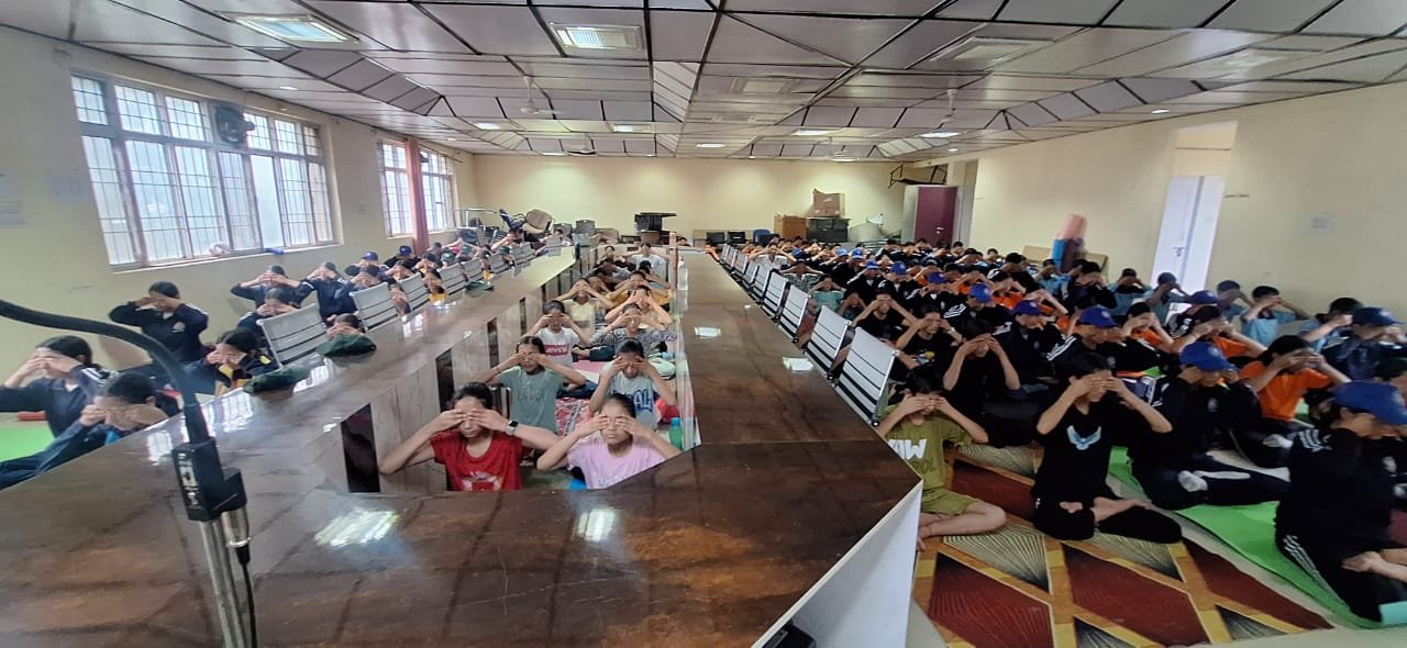 योग से स्वस्थ जीवन की ओर बढ़ता आनी – उपमंडल स्तरीय योग दिवस कार्यक्रम में उमड़ा जनसमूह