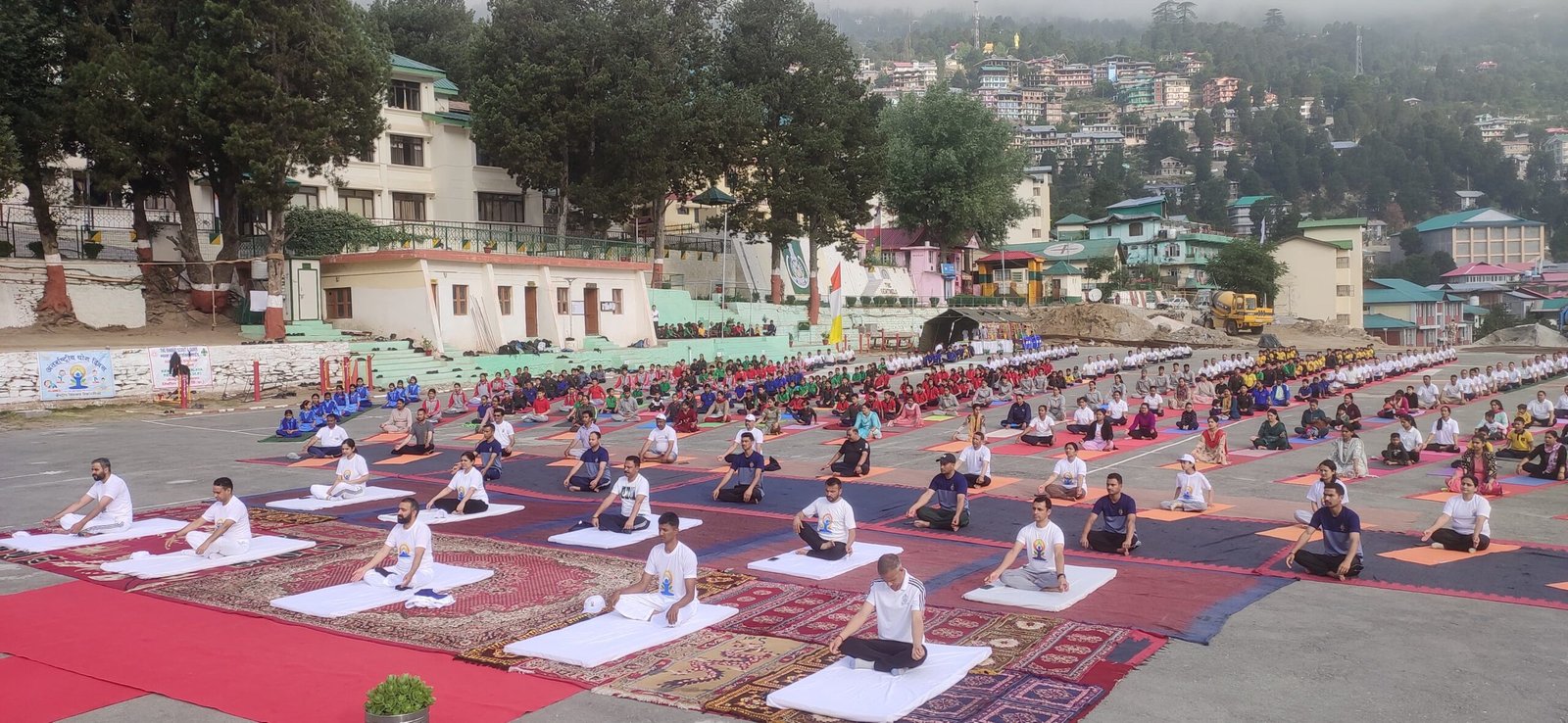 किन्नौर में योग दिवस की गूंज, उपायुक्त की अगुवाई में ITBP मैदान में हुआ आयोजन