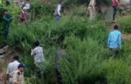 रिब्बा गांव में चला “भांग उखाड़ो अभियान”, मूरंग पुलिस ने दी नशे के खिलाफ एकजुटता की मिसाल