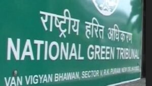 Himachal:दो सौ साल पुराने बरगद के चारों ओर निर्माण पर एनजीटी सख्त, राज्य सरकार से मांगा जवाब – Himachal: Ngt Takes A Strict Stance On Construction Around A 200 Year Old Banyan Tree; Seeks A Response.