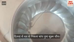 वीडियो:  दिलवां में नल से निकला सांप नुमा सूक्ष्म जीव, टूटी पेयजल लाइन से पानी में पहुंचा