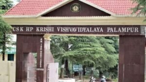 कृषि विश्वविद्यालय अध्ययन:हिमाचल में मिली दीमक की नई प्रजाति, पहुंचाती है ज्यादा नुकसान – Agriculture University Palampur Study: New Termite Species Found In Himachal; Causes Greater Damage.