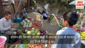सोलन: किसान जनता मंडी में अदरक के दाम गिरे, टमाटर 30 रुपये किलो पहुंचा