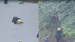 डलहौजी:खाने की तलाश में आबादी में पहुंचा भालू, कनस्तर में फंसा सिर, छह घंटों तक चला रेस्क्यू, देखें वीडियो – Dalhousie: Bear Wanders Into Inhabited Area In Search Of Food, Gets Head Stuck In A Canister; Ordeal Lasts Man