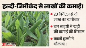 हिमाचल प्रदेश:हल्दी-जिमीकंद ने बढ़ाई बिलासपुर के चार भाइयों की कमाई, प्राकृतिक खेती से लाखों का कारोबार – Bilaspur Karot Natural Farming Turmeric Yam Income