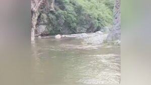 डूबने से माैत:दो साल के बेटे को सरप्राइज देने निकला था अक्षु, गिरि खड्ड ने छीन ली जिंदगी – Death By Drowning: Akshu Had Set Out To Surprise His Two-year-old Son; The Giri Khad Claimed His Life.