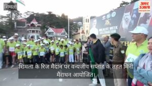 शिमला: वन्यजीव सप्ताह में रिज मैदान से दौड़ा जागरूकता का संदेश, विधायक हरीश जनारथा ने दिखाई मिनी मैराथन को हरी झंडी