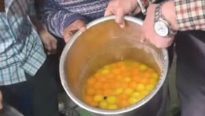 हिमाचल:शिमला में मिठाइयों में मिले मरे हुए कॉकरोच, रसगुल्ले-गुलाब जामुन करवाए नष्ट; चार दुकानदारों को नोटिस – Shimla Dead Cockroaches Rasgulla Gulab Jamun Food Safety Inspection