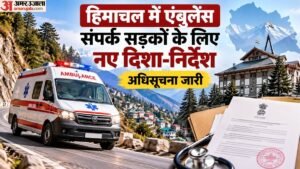आईजीएमसी शिमला के शोध में खुलासा:चिप्स, नूडल्स के नाम पर बिक रहे मिलेट्स फूड में फाइबर और मिनरल गायब – Igmc Shimla Research Reveals: Millets Being Sold In The Name Of Health Lack Fiber And Minerals; Find Out The F